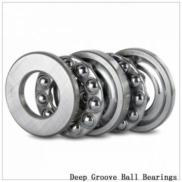 6060X2 Deep groove ball bearings