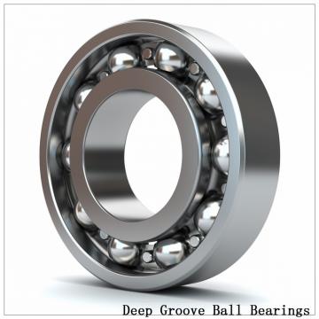 16022 Deep groove ball bearings