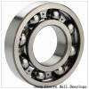 6038X1M Deep groove ball bearings